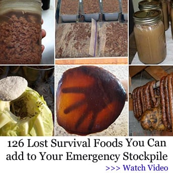 Lost Survival Foods we all need.